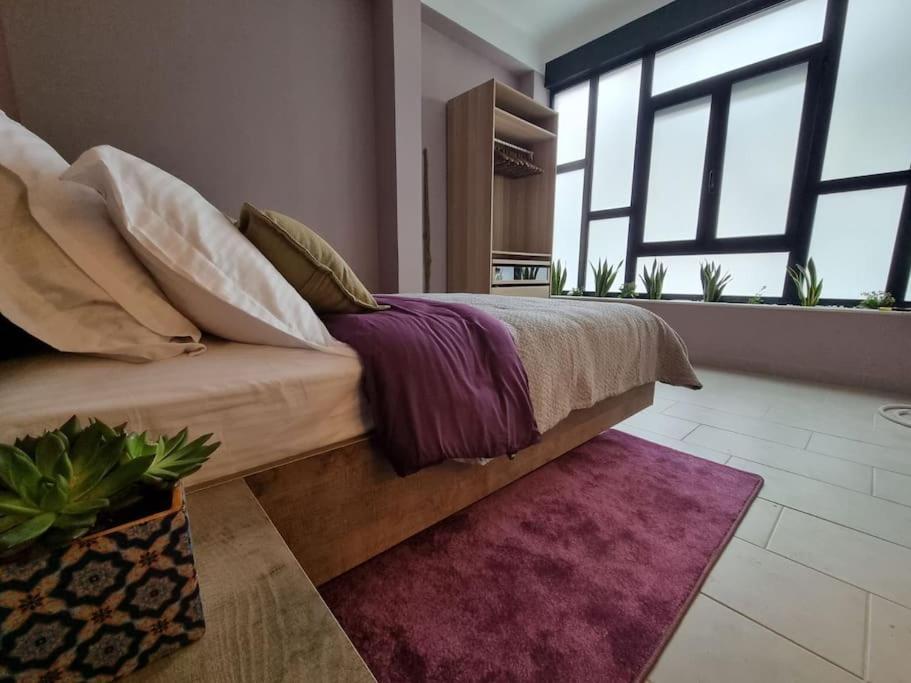 Ellis Apartment أثينا المظهر الخارجي الصورة