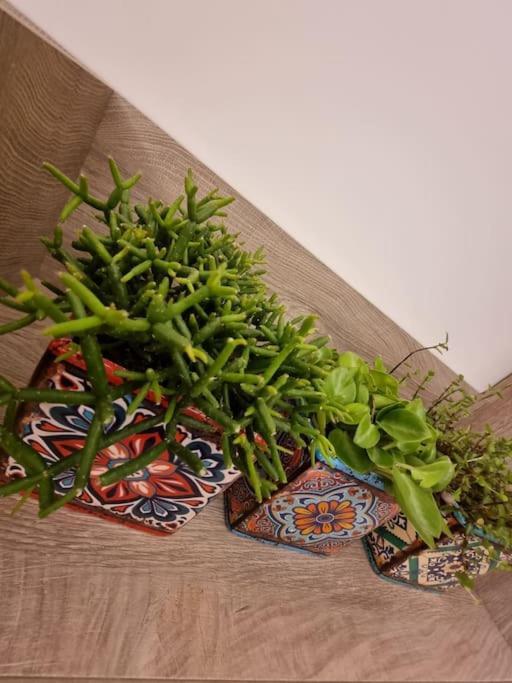 Ellis Apartment أثينا المظهر الخارجي الصورة